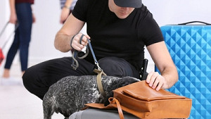 С таким багажом в Европу не пустят: чемоданы отберут в аэропорту — партнерский материал