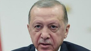 Херш раскрыл, за сколько Эрдоган продался США: реальная цифра — партнерский материал