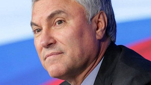 Володин призвал защитить этих людей — партнерский материал